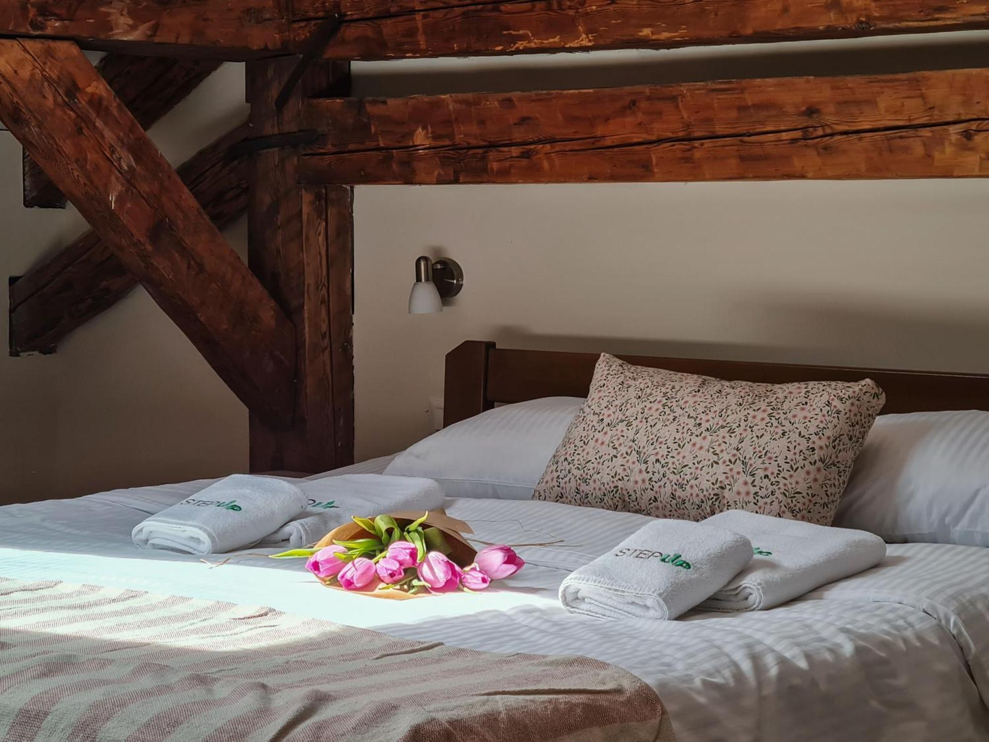 Step To Kotor Bay Guesthouse المظهر الخارجي الصورة